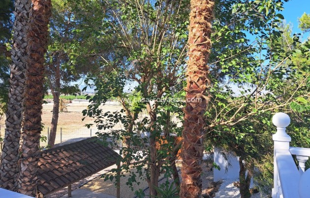 Wiederverkauf - Villa - Orihuela - Desamparados