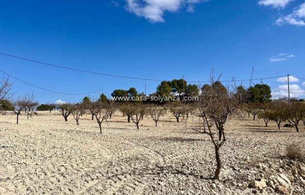 Revente - Land - Bullas - Inland