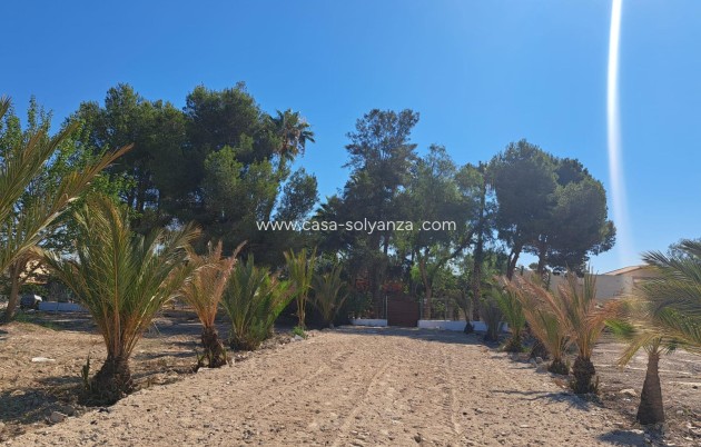 Wiederverkauf - Villa - Orihuela - Desamparados