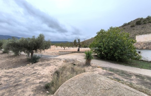 Revente - Country Property/Finca - Villena - Inland