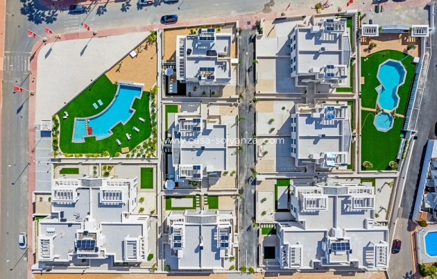 Nieuwbouw Woningen - Appartement / flat - Rojales