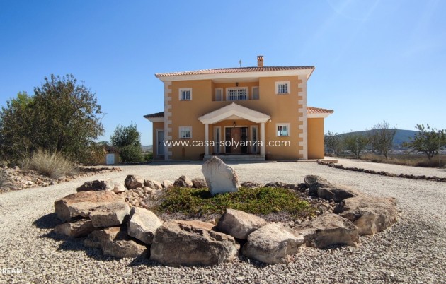 Revente - Villa - Pinoso