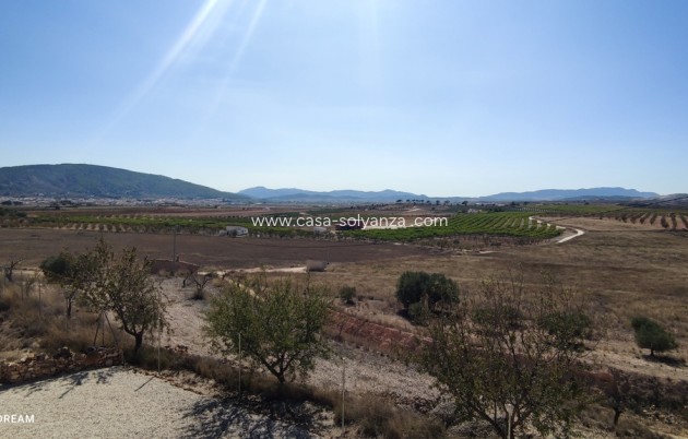 Revente - Villa - Pinoso