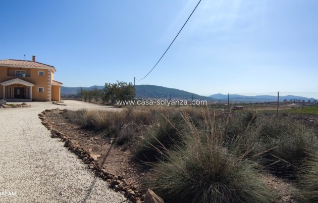 Revente - Villa - Pinoso