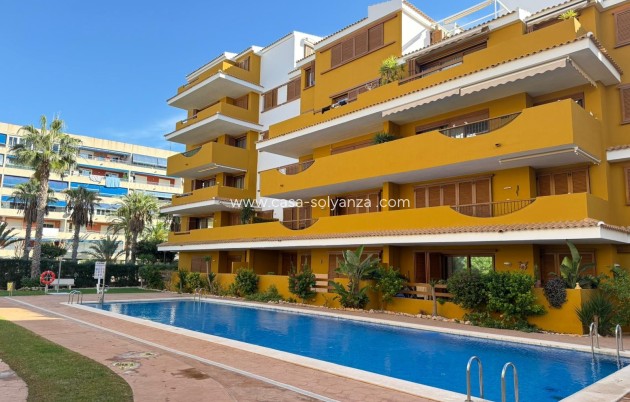 Herverkoop - Appartement / flat - Torrevieja - Punta Prima