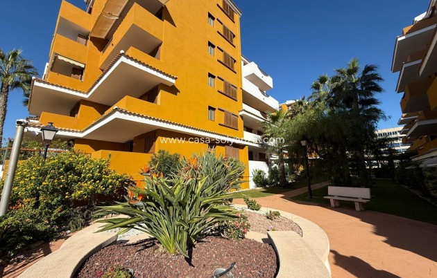 Herverkoop - Appartement / flat - Torrevieja - Punta Prima