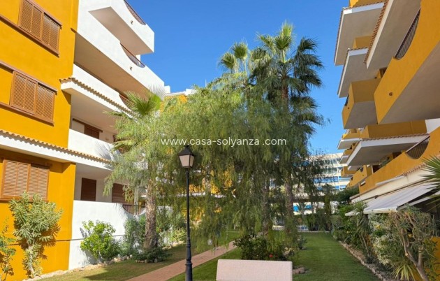 Herverkoop - Appartement / flat - Torrevieja - Punta Prima