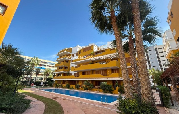 Herverkoop - Appartement / flat - Torrevieja - Punta Prima