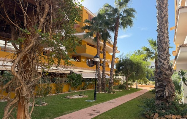 Herverkoop - Appartement / flat - Torrevieja - Punta Prima