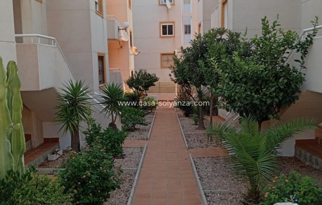 Reventa - Apartamento / piso - Torrevieja - Torreblanca