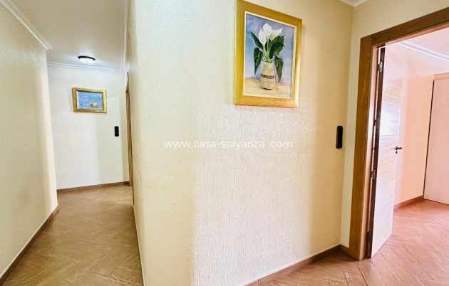 Wiederverkauf - Wohnung - Torrevieja - Center