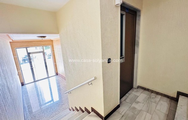 Wiederverkauf - Wohnung - Torrevieja - Center