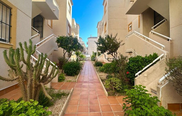 Reventa - Apartamento / piso - Torrevieja - Torreblanca