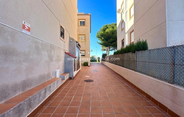 Reventa - Apartamento / piso - Torrevieja - Torreblanca