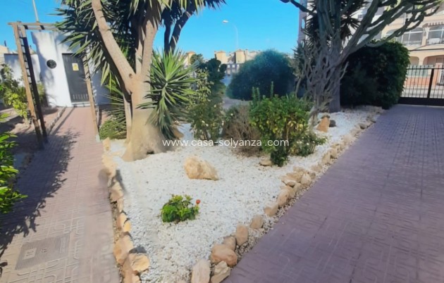 Reventa - Apartamento / piso - Playa Flamenca - Costa Blanca