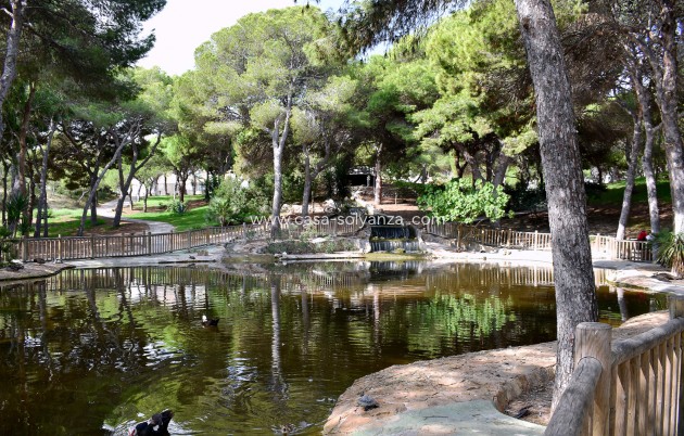 Herverkoop - Land - Guardamar del Segura