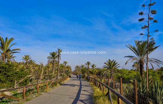 Wiederverkauf - Land - Guardamar del Segura