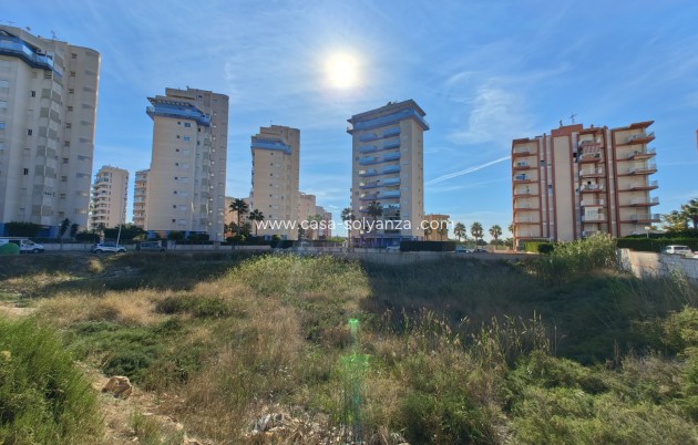 Wiederverkauf - Land - Guardamar del Segura