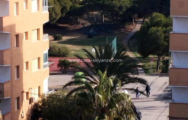 Resale - Apartment / flat - Guardamar del Segura - Pinomar