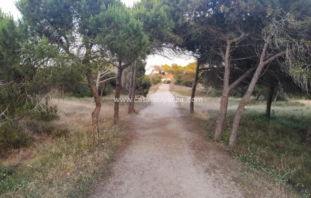 Resale - Apartment / flat - Guardamar del Segura - Pinomar