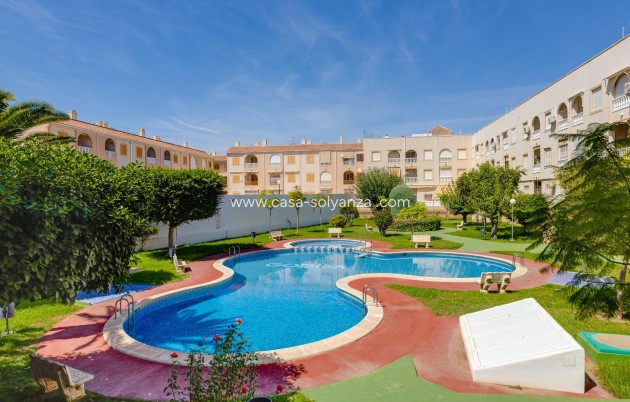 Wiederverkauf - Wohnung - Torrevieja - Acequion