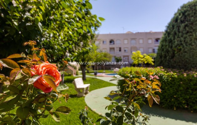 Wiederverkauf - Wohnung - Torrevieja - Acequion