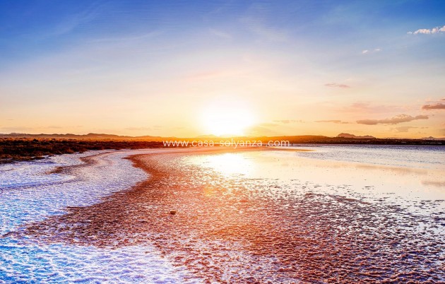 Herverkoop - Appartement / flat - Torrevieja - El Limonar