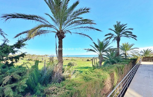 Wiederverkauf - Wohnung - Torrevieja - Costa Blanca