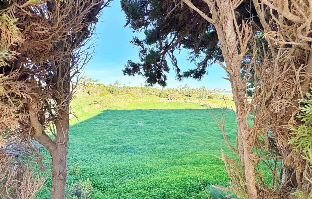 Wiederverkauf - Wohnung - Torrevieja - Costa Blanca