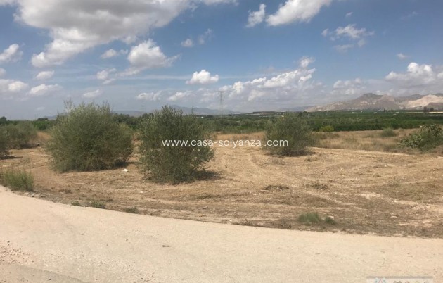 Resale - Terreno - Benferri - HUERTA PUEBLO