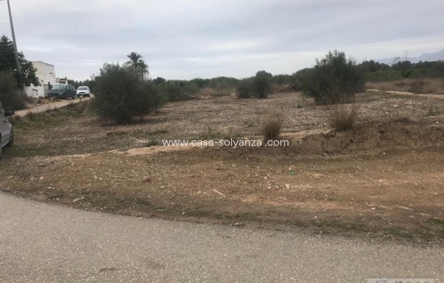 Resale - Terreno - Benferri - HUERTA PUEBLO