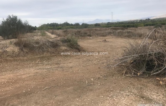 Resale - Terreno - Benferri - HUERTA PUEBLO