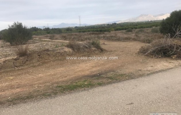 Resale - Terreno - Benferri - HUERTA PUEBLO