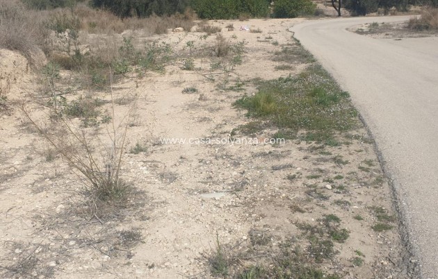 Resale - Terreno - Benferri - HUERTA PUEBLO