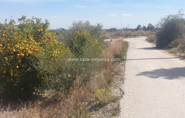 Resale - Terreno - Benferri - HUERTA PUEBLO