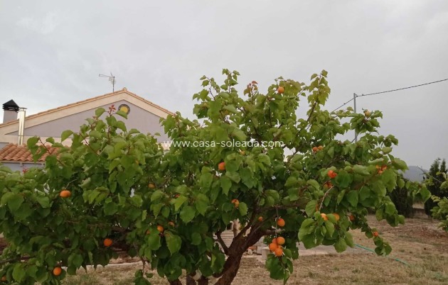 Revente - Villa - Yecla - Inland