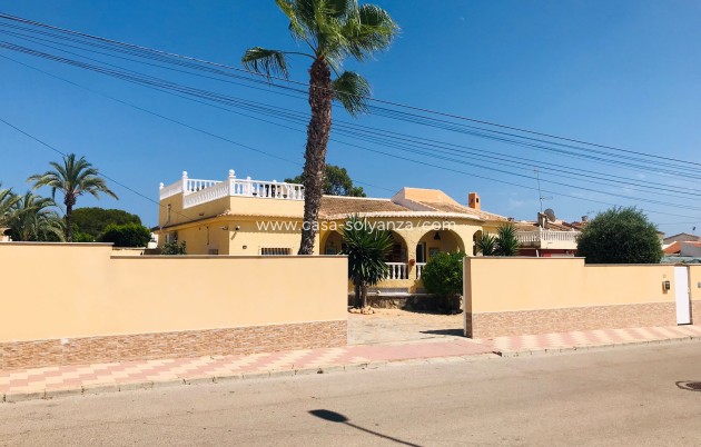 Revente - Luxury Villa - Torrevieja - 0