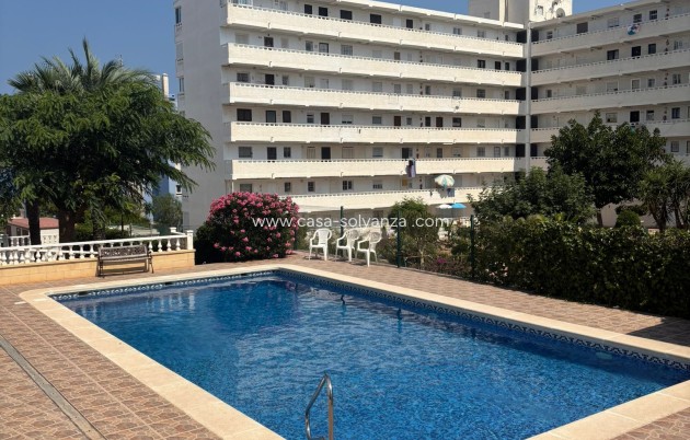 Revente - Appartement - Torrevieja - 0