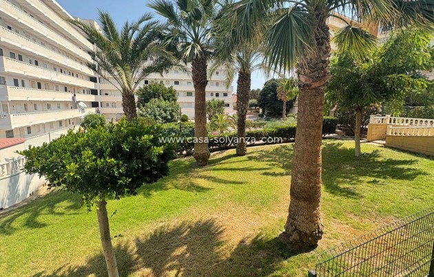 Revente - Appartement - Torrevieja - 0