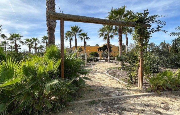 Revente - Maison de ville - Dolores - Costa Blanca