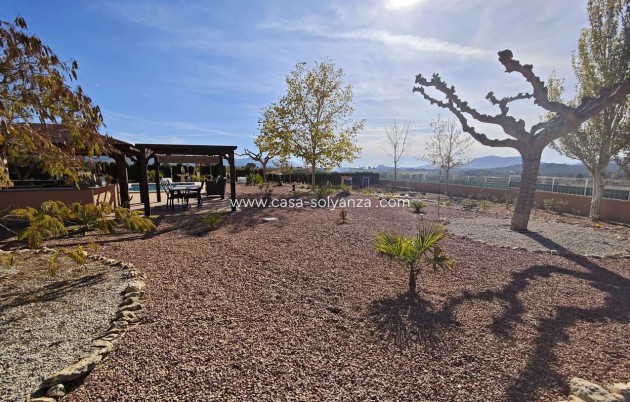 Wiederverkauf - Villa - Sax - Inland