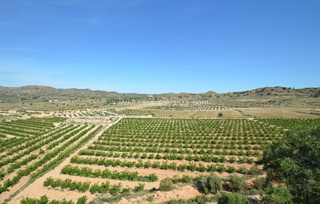 Reventa - Country Property/Finca - Gea Y Truyols - Inland