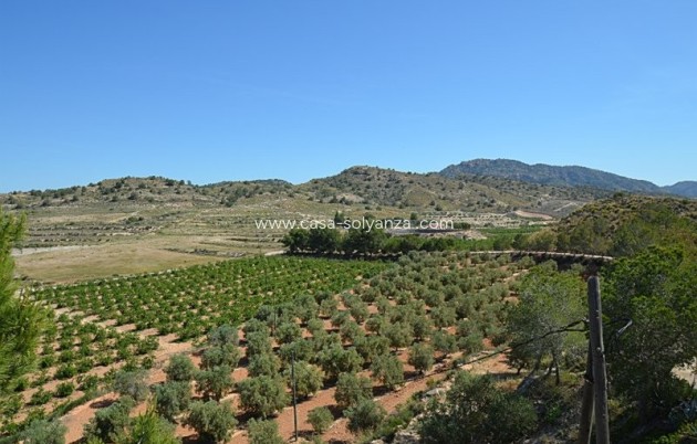 Reventa - Country Property/Finca - Gea Y Truyols - Inland