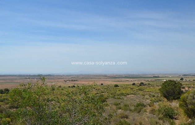 Reventa - Country Property/Finca - Gea Y Truyols - Inland