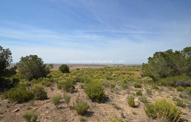 Reventa - Country Property/Finca - Gea Y Truyols - Inland