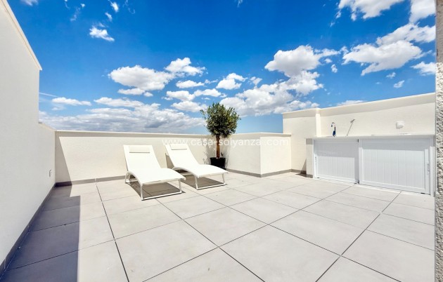 Neue Gebäude - Bungalow - Cox