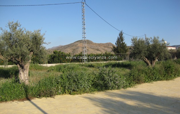 Wiederverkauf - Villa - Benferri