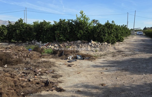 Reventa - Country Property/Finca - Albatera