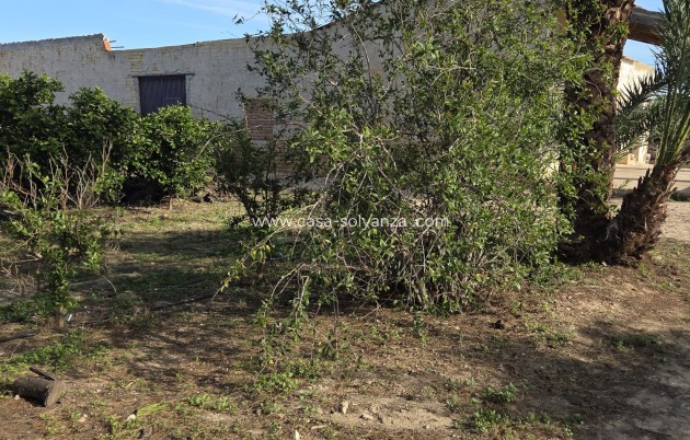 Reventa - Country Property/Finca - Albatera