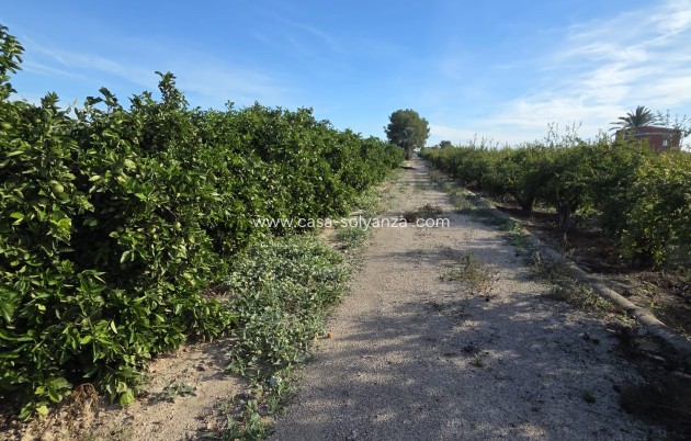 Reventa - Country Property/Finca - Albatera